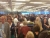 istanbul airport joja